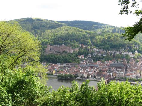 Free Images : flower, lake, town, city, river, valley, village, castle, heidelberg, neckar ...