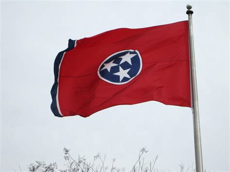 Tennessee State Flag Vector at Vectorified.com | Collection of Tennessee State Flag Vector free ...