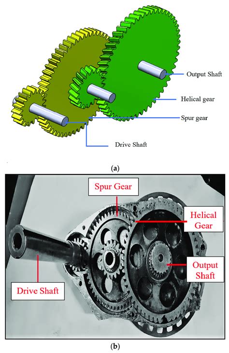 (a) Schematic representation of gear train assembly. (b) Gear train ...