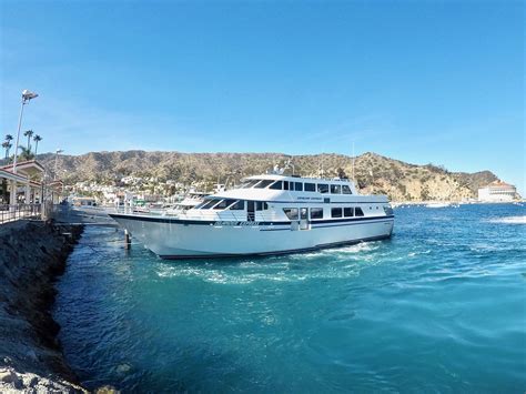 6 Adventurous Things to do in Catalina Island | Catalina island, Island travel, Island tour