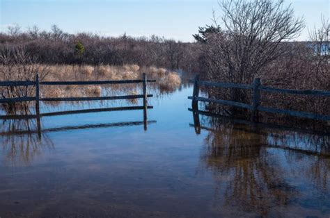 The Vineyard Gazette - Martha's Vineyard News | Water Levels in Great ...