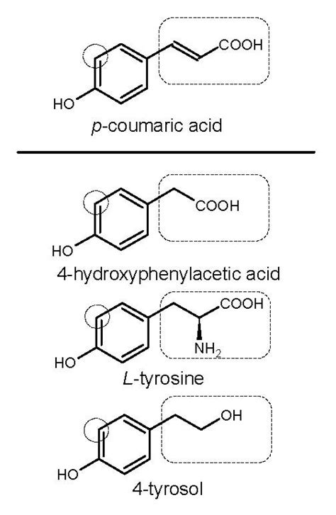 Molecular structures of p-coumaric acid and three known substrates of ...