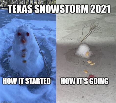 Texas snowstorm meme : r/memes