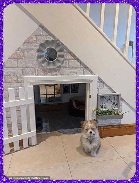 Dog Bedroom, Bedroom Ideas, Under Stairs Dog House, Dog Nook ...