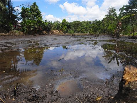 Water Quality - The Amazon River