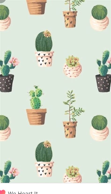 Update more than 82 aesthetic cactus wallpaper - in.coedo.com.vn