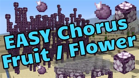 EASY Chorus Flower Farm (EASY Chorus Fruit Farm) - Minecraft Java - YouTube