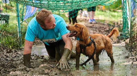 Battersea Muddy Dog Challenge preview 2023