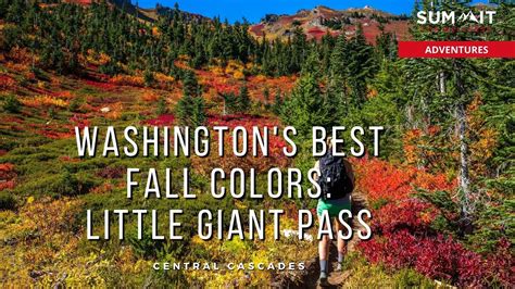 Washington's Best Fall Colors are at Little Giant Pass | Sept 2021 - YouTube