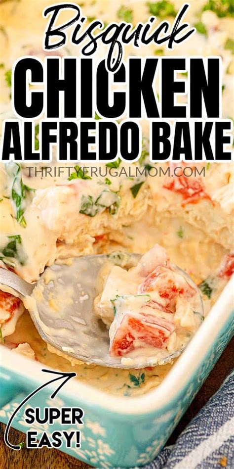 Bisquick Chicken Alfredo Casserole | Recipe | Baked chicken recipes ...