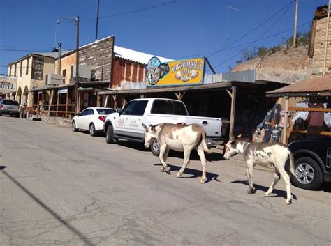 Day Trip Oatman Ghost Town Arizona Things To Do