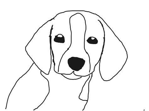 Beagle Line Drawing at GetDrawings | Free download