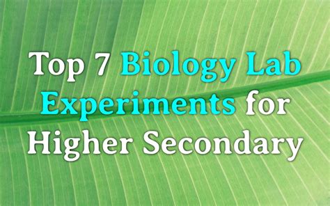 Common biology experiments for class 11 12 practicals | Labkafe