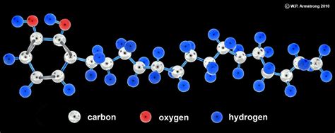 Basic Facts - All About Urushiol