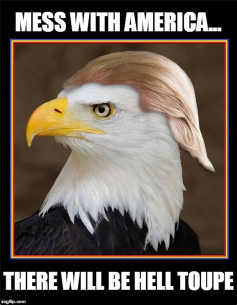 The American (Formerly) Bald Eagle - Imgflip