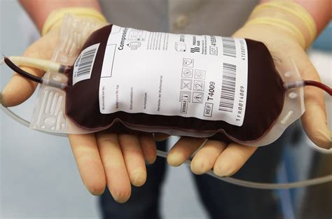 Can gay men donate blood in the united states - tattooopec