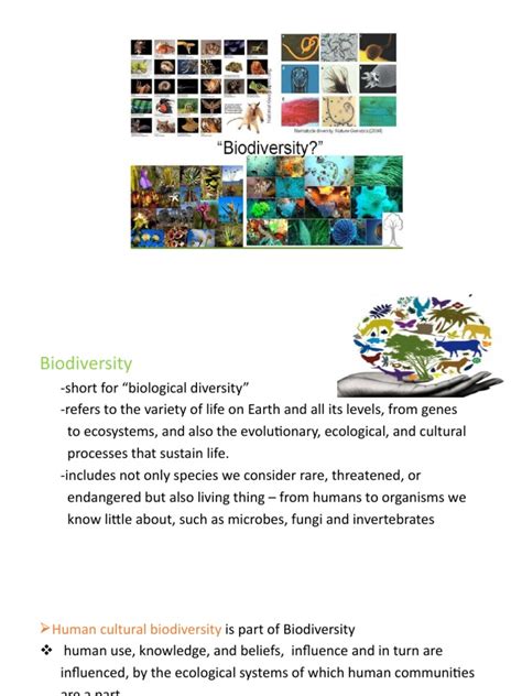 Biodiversity Notes | PDF | Biodiversity | Invasive Species