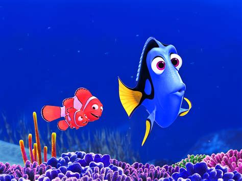 Filme Procurando Nemo HD Papel De Parede