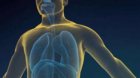 Early Symptoms of COPD: Stage 1 COPD Diagnosis, Treatment