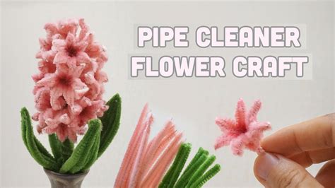 How to make Hyacinthus Orientalis Pipe Cleaner | Pipe Cleaner Flower Craft - YouTube