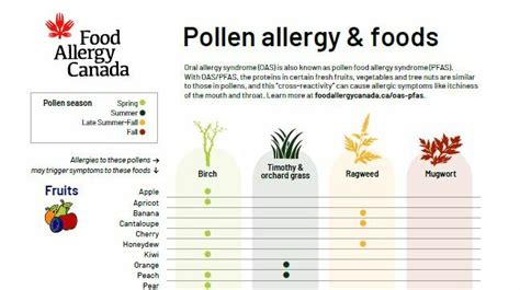 fall allergy season 2022 - Impressed State