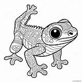 Gecko Coloring Page 29484 23305 sketch template