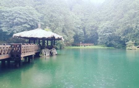 Alishan National Scenic Area, Chiayi | Ticket Price | Timings | Address: TripHobo