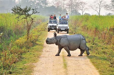 Why is Kaziranga National Park so famous?