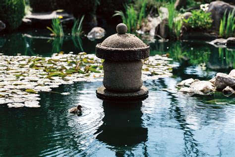 How a Himeji landscape designer rescued Adelaide's 'garden of tranquility' - The Adelaide Review