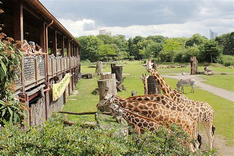 Kiwara Lodge | Zoo Leipzig