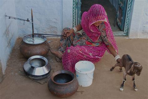 Bishnoi Culture: Beyond Tourism, Experience Their Soul - Cosmo Snapshot