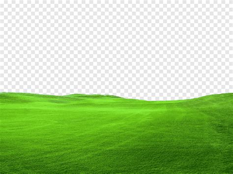 Grass field illustration, Lawn graphy, ground, landscape, grass png | PNGEgg