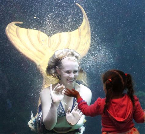 What To Expect at the Denver Downtown Aquarium Mermaids Show | CityPASS ...