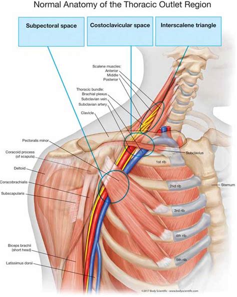 PREFACE - Thoracic Outlet Syndrome