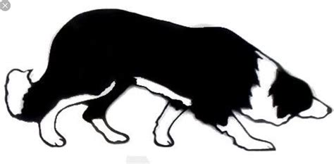 Pin by Pinner on Stencils/Silhouettes | Border collie art, Dog silhouette, Border collie