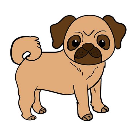 How to Draw a Pug - Really Easy Drawing Tutorial | Puppy drawing easy, Pug art, Puppy drawing