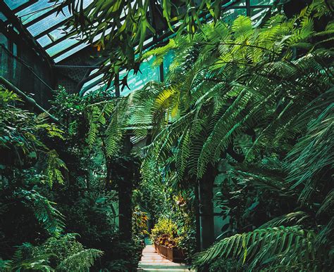 A Guide to the Botanical Gardens in Medellin - Casacol