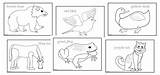 Eric Carle Red Bird Coloring Page Pages sketch template