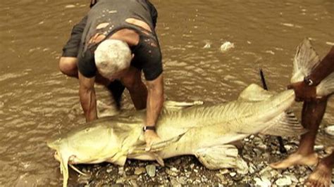 River Monsters, Killer Catfish - Animal Planet Presents | Animal Planet