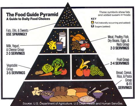 Healthy Diet Food Pyramid - healthy life