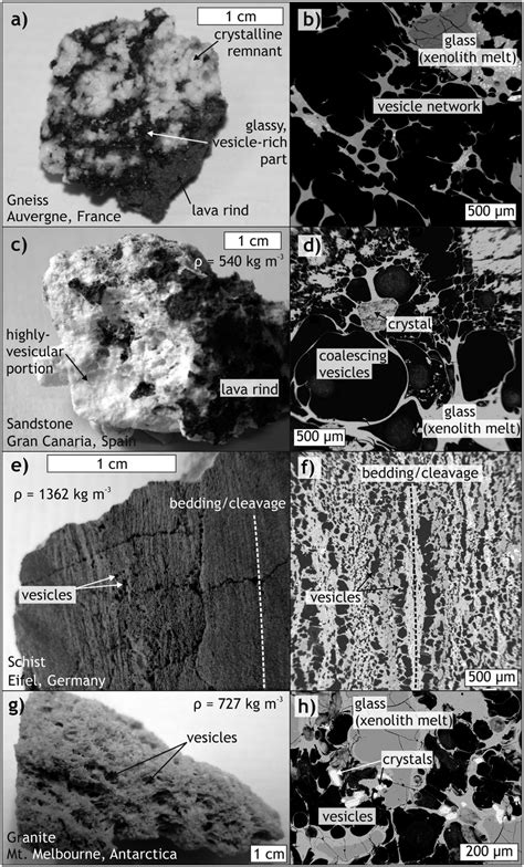 Appearance and structure of examples of frothy xenolith fragments.... | Download Scientific Diagram