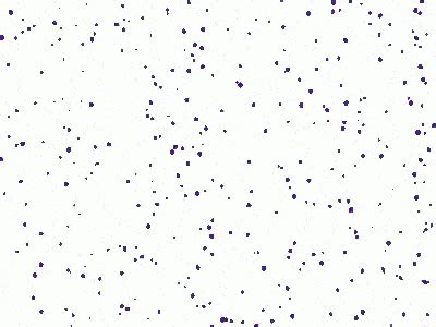 Confetti Animated Gif