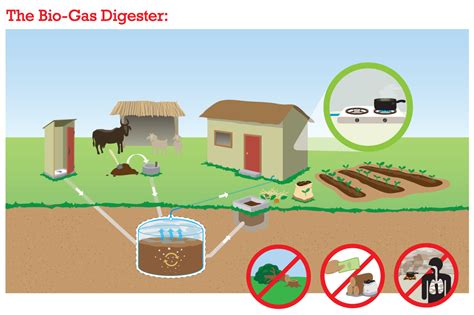 The Bio-Gas Digester: How It Works | Visual.ly