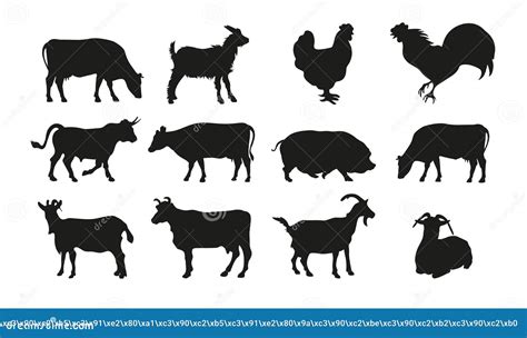 Large Set of Livestock Silhouettes. Cow, Bull, Chicken, Rooster, Pig ...