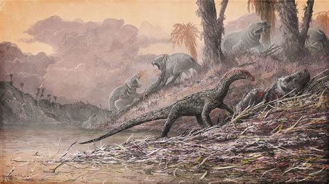 Archosaur fossils are forcing scientists to rethink evolution of dinosaurs | The Daily World