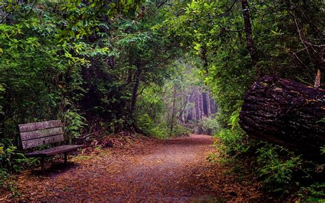 Pathway Background