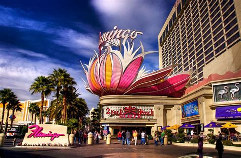 "The Flamingo Casino, Las Vegas" by Hugster62 | Redbubble