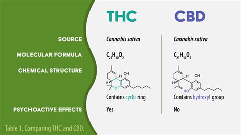 THC vs CBD: Uses, Side Effects, and Structure | Lab Manager