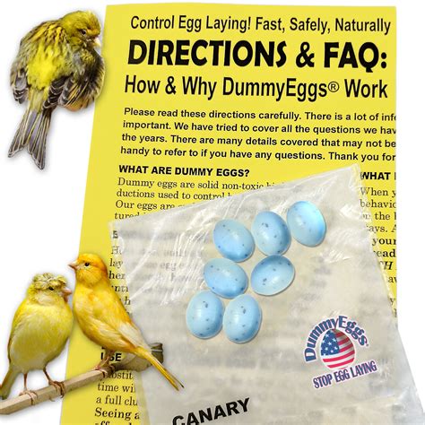 CANARY DUMMY EGGS STOP LAYING! Non-Toxic Speckled Blue Green Fake Bird Eggs USA | eBay