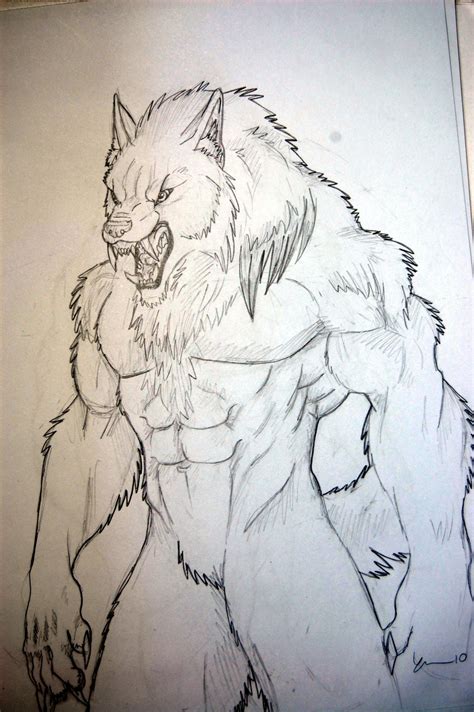 Wolfman Drawing at GetDrawings | Free download